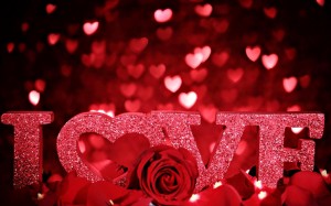 Valentines-Day-Love-Rose-Petals